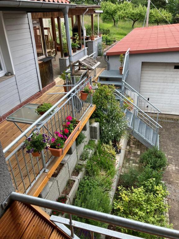Pension Volgenandt Breitenbach Exteriör bild
